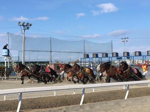 北海道遺産　ばんえい競馬