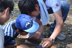 火起こし体験⑦ 気持ちを込めて空気を送ります。