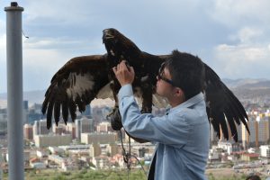 動物とのふれあい（鷹）①