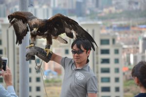 動物とのふれあい（鷹）②